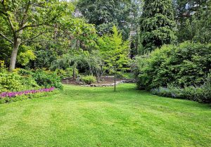 Optimiser l'expérience du jardin à Saint-Hilaire-de-Gondilly
